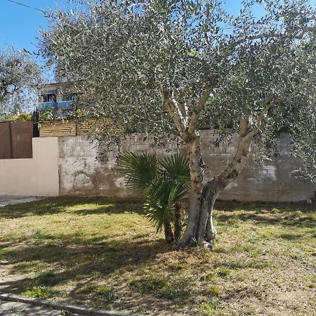 Апартаменты Caba Gritti